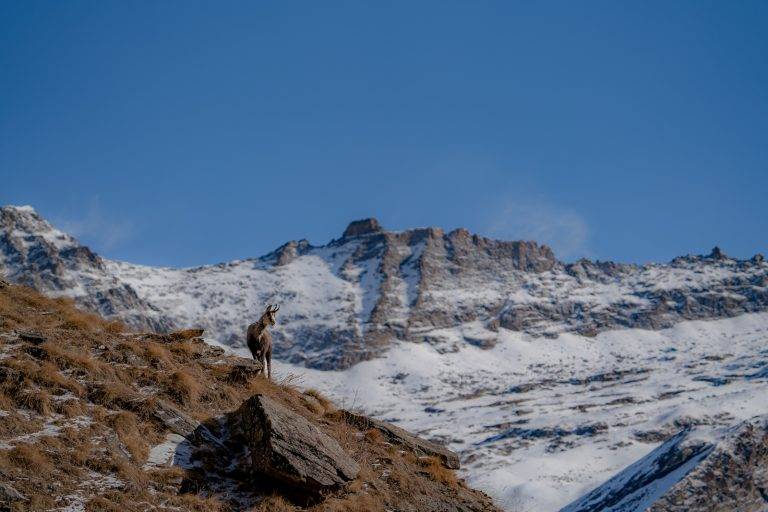 Gran Avontuur