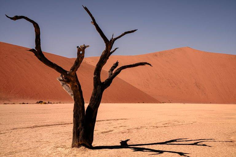 Namibië 4x4 PLANEET APPELMOES