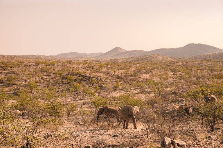 Namibië 4x4 PLANEET APPELMOES