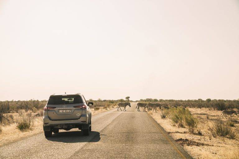 Namibië 4x4 PLANEET APPELMOES