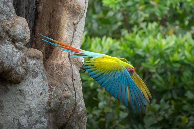 CostaRica-1