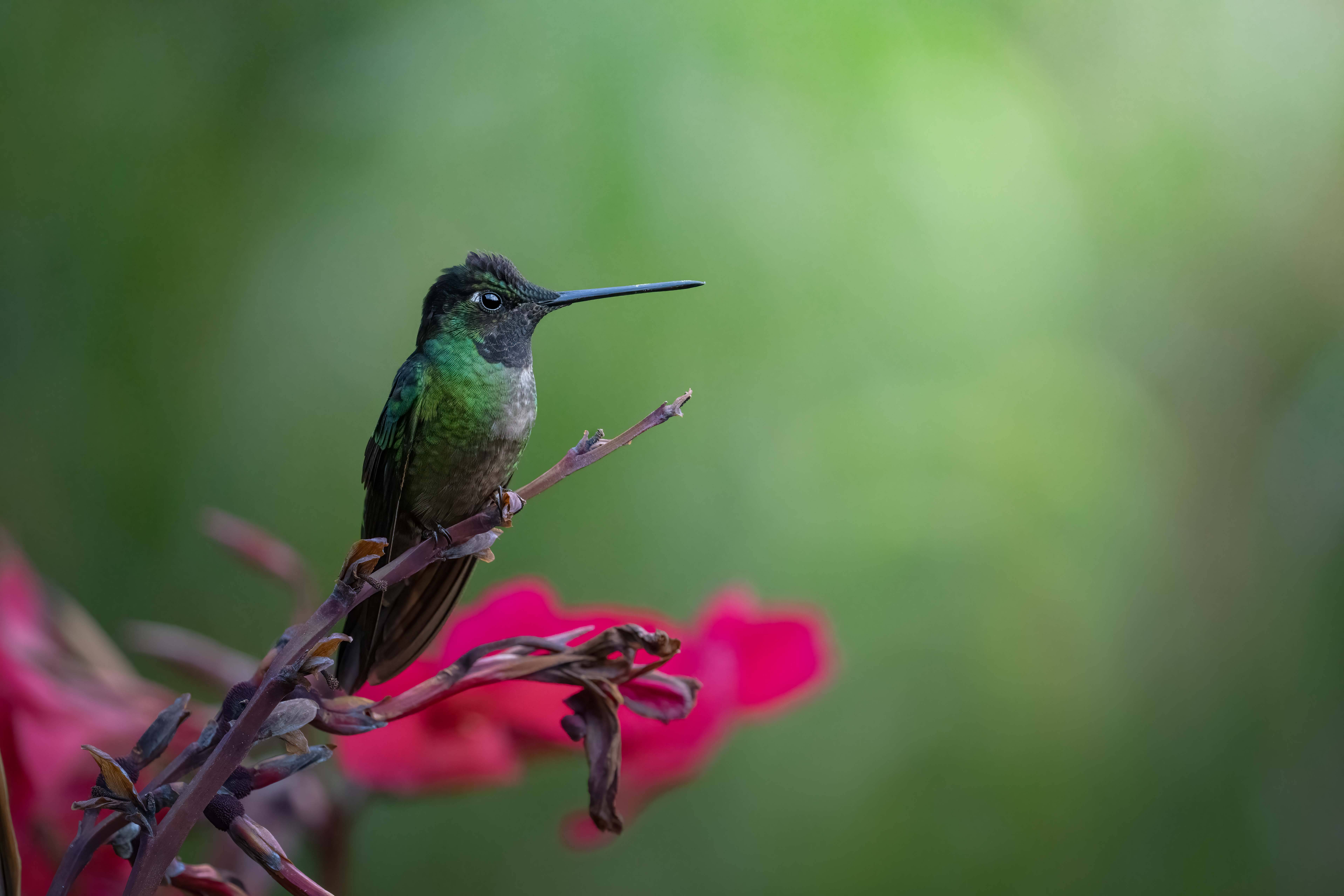 CostaRica-19