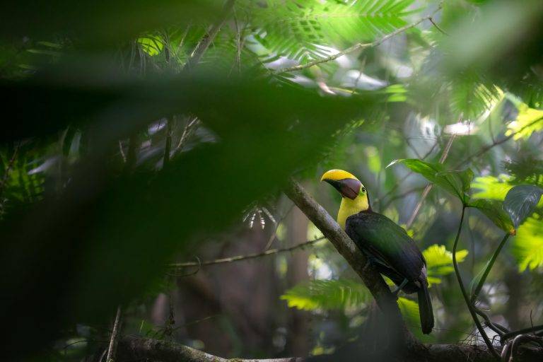 CostaRica-2