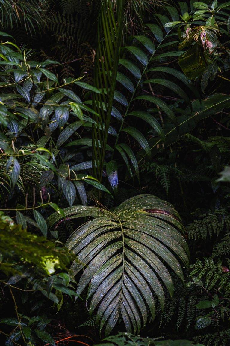 CostaRica-2-2