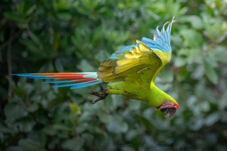 CostaRica-2