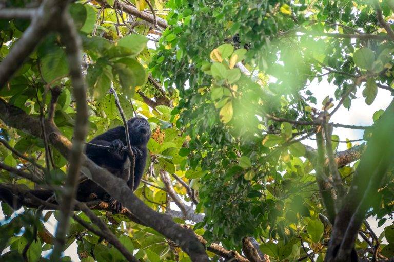 CostaRica-30