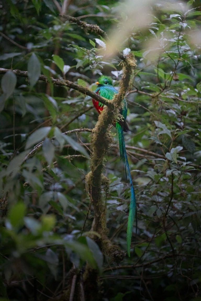 CostaRica-4