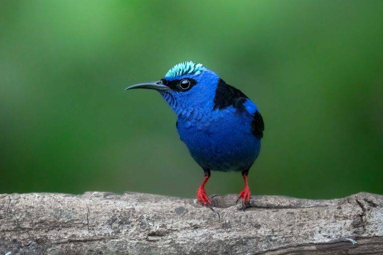 CostaRica-5