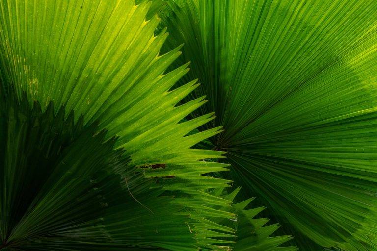 CostaRica-6